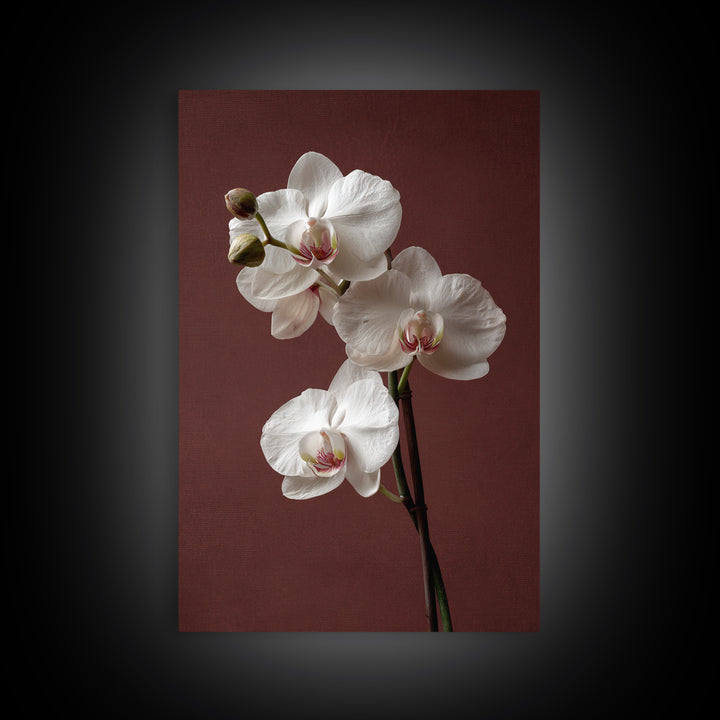 White Orchids Against Warm Gray Background Framed Canvas Print, Master Bedroom, Canvas Print, Bedroom Decor, Abstract Art, MAS-2x3-17