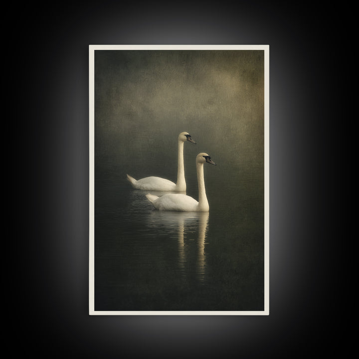 Romantic Swan Pair on Dark Water Canvas Print, Master Bedroom, Large Wall Art, Bedroom Decor, Sanctuary, Bedroom Prints, MAS-2x3-23