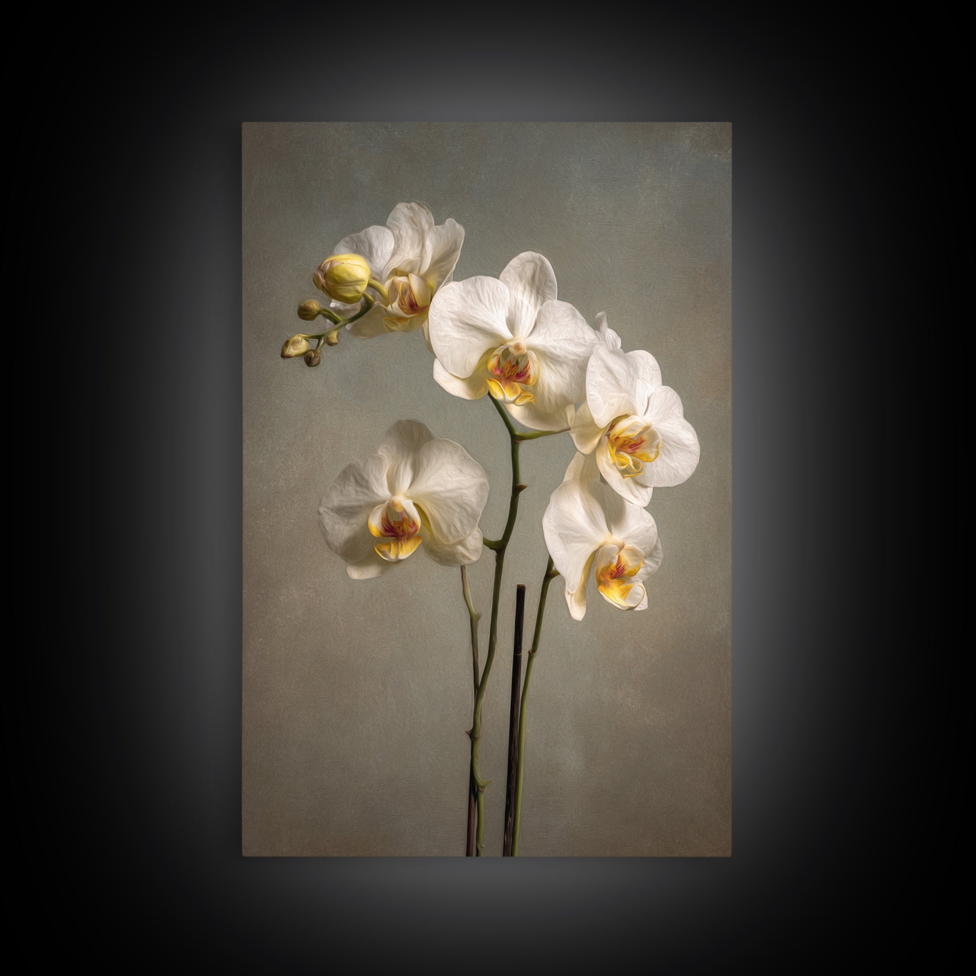 White Orchids Against Warm Gray Background Canvas Print, Master Bedroom, Farmhouse Wall Art, Bedroom Decor, Fine Art, Sanctuary, MAS-2x3-65