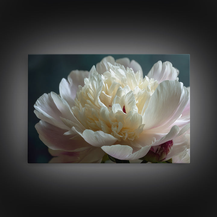 Romantic Neutral Peony Closeup Canvas Print, Master Bedroom, Wall Art Bedroom, Bedroom Decor, Sanctuary, Statement Artwork, MAS-3x2-30