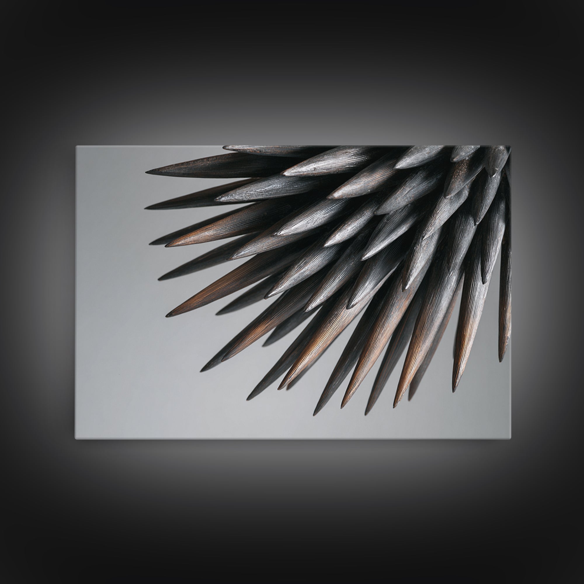 Metallic Black Spines Close Up Canvas Print, Modern Abstract Nature Office Wall Decor, Minimalist Monochrome Statement Art