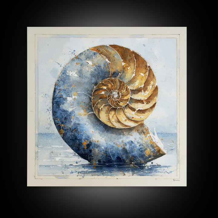 Nautilus Shell Study Canvas Print, Marine Life Art, Beach House Decor, Living Room Decor, Fine Art, Marine, Tropical Wall Art, MLA-1x1-35