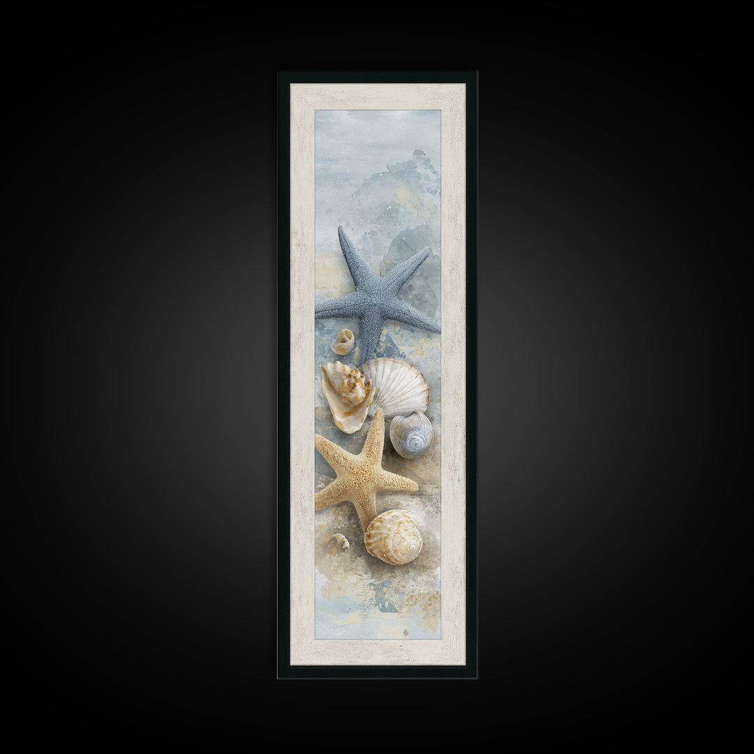 Starfish and Shells Natural Specimen Layout Canvas Print, Marine Life Art, Fine Art Print, Living Room Decor, Fine Art, Marine, MLA-1x3-73