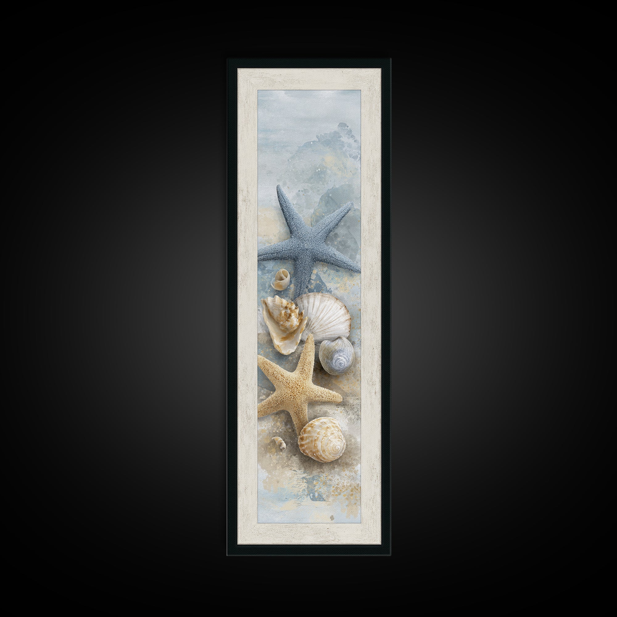 Starfish and Shells Natural Specimen Layout Canvas Print, Marine Life Art, Fine Art Print, Living Room Decor, Fine Art, Marine, MLA-1x3-73