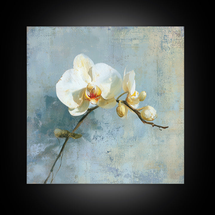 White Orchid on Gray Stone Surface Framed Canvas Print, Medical Office Art, Medical Wall Art, Office Decor, Fine Art, Calm, MOA-1x1-6
