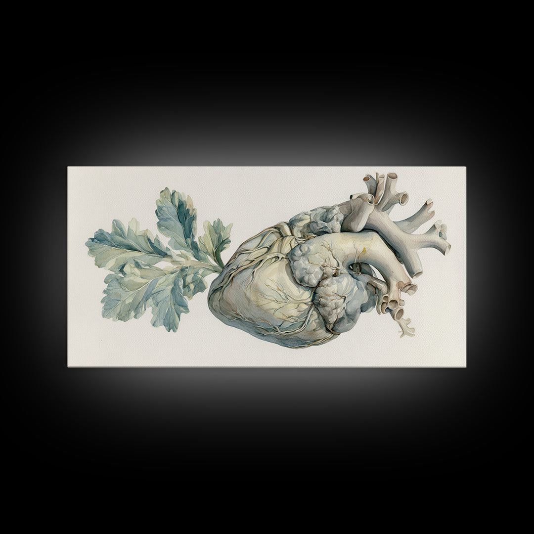 Anatomical Heart Rendered as Tasteful Botanical Art Canvas Print, Medical Office Art, Minimalist Art, Office Decor, Calm, MOA-2x1-81