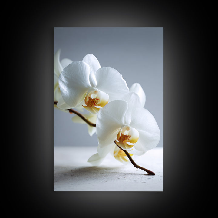 White Orchid on Gray Stone Surface Canvas Print, Medical Office Art, Art Print, Office Decor, Oil Painting, Calm, Printable Art, MOA-2x3-14