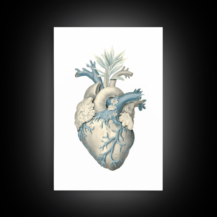 Anatomical Heart Rendered as Tasteful Botanical Art Canvas Print, Medical Office Art, Dental Office Decor, Office Decor, Calm, MOA-2x3-93