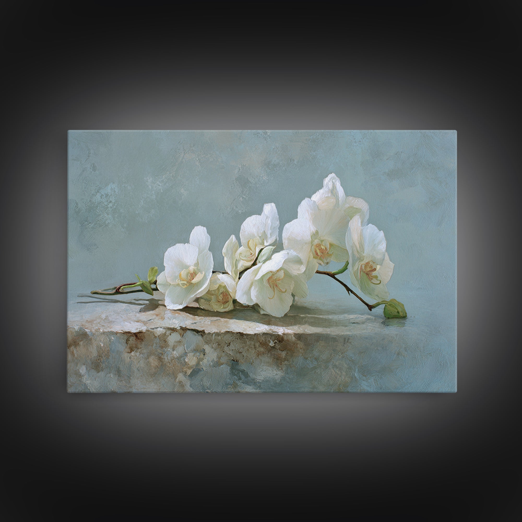 White Orchid on Gray Stone Surface Canvas Print, Medical Office Art, Brain Poster, Office Decor, Fine Art, Calm, Medical School, MOA-3x2-34