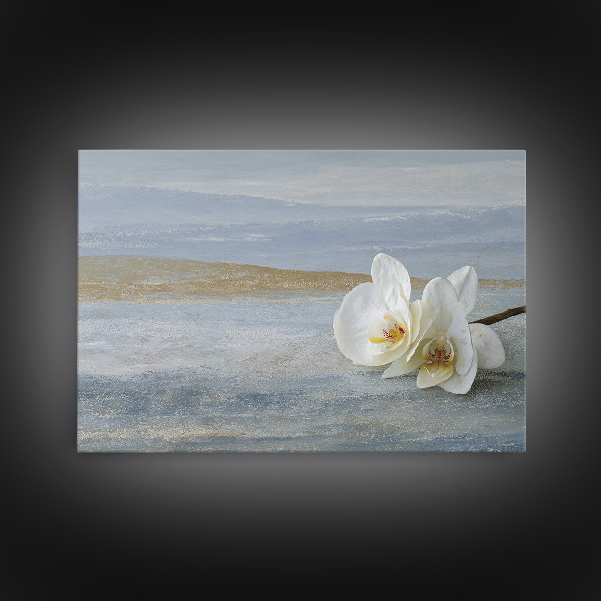 White Orchid on Gray Stone Surface Canvas Print, Medical Office Art, Brain Poster, Office Decor, Fine Art, Calm, Medical School, MOA-3x2-58