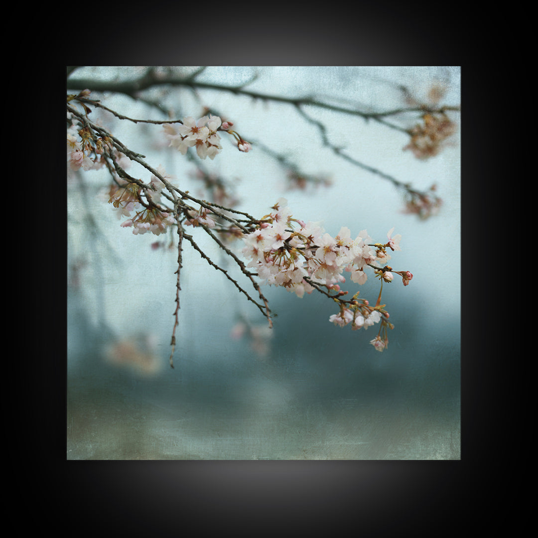 Spring Cherry Blossoms Framed Canvas Print, Nature Art, Art Print, Living Room Decor, Fine Art, Nature, Printable Wall Art, NAT-1x1-40
