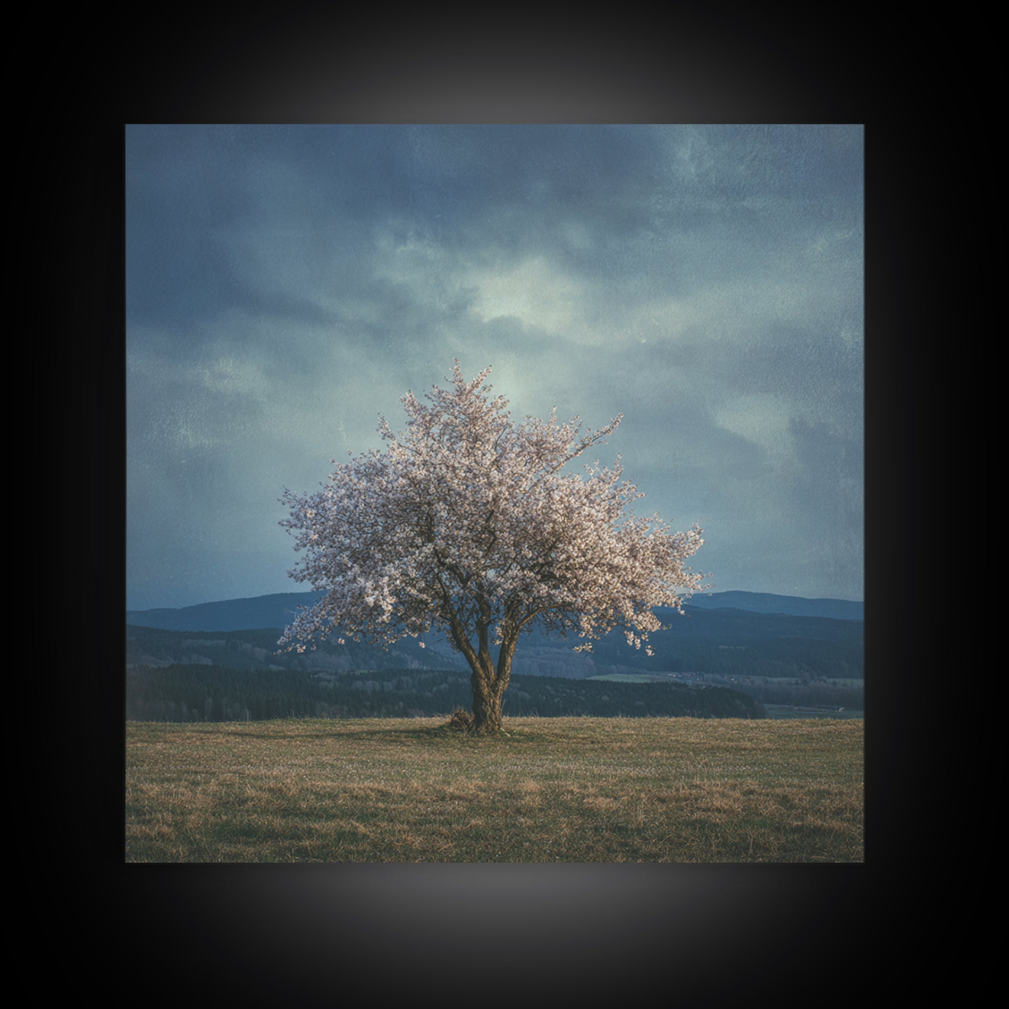 Spring Cherry Blossoms Framed Canvas Print, Nature Art, Modern Wall Art, Living Room Decor, Fine Art, Nature, Mountain Art, NAT-1x1-64