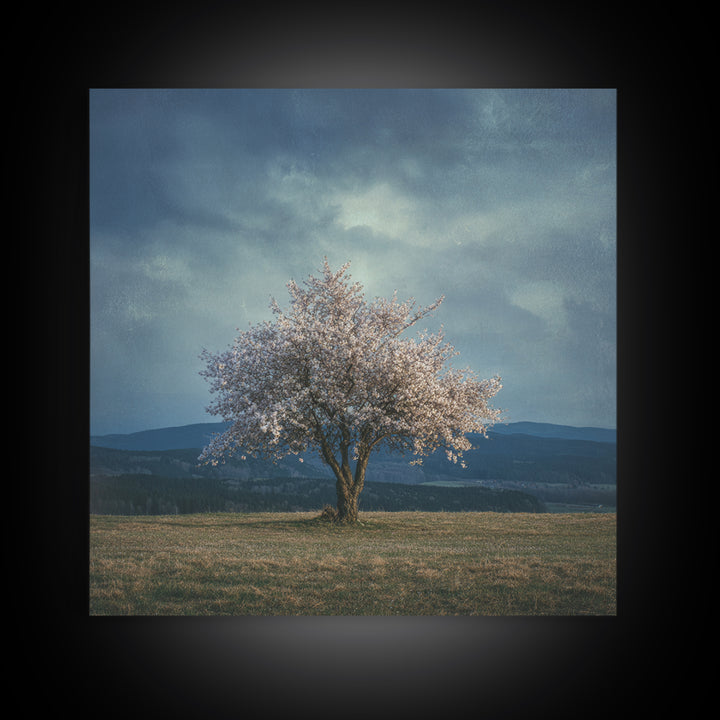 Spring Cherry Blossoms Framed Canvas Print, Nature Art, Modern Wall Art, Living Room Decor, Fine Art, Nature, Mountain Art, NAT-1x1-64