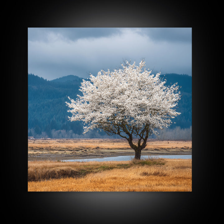 Spring Cherry Blossoms Framed Canvas Print, Nature Art, Textured Painting, Living Room Decor, Fine Art, Nature, NAT-1x1-88
