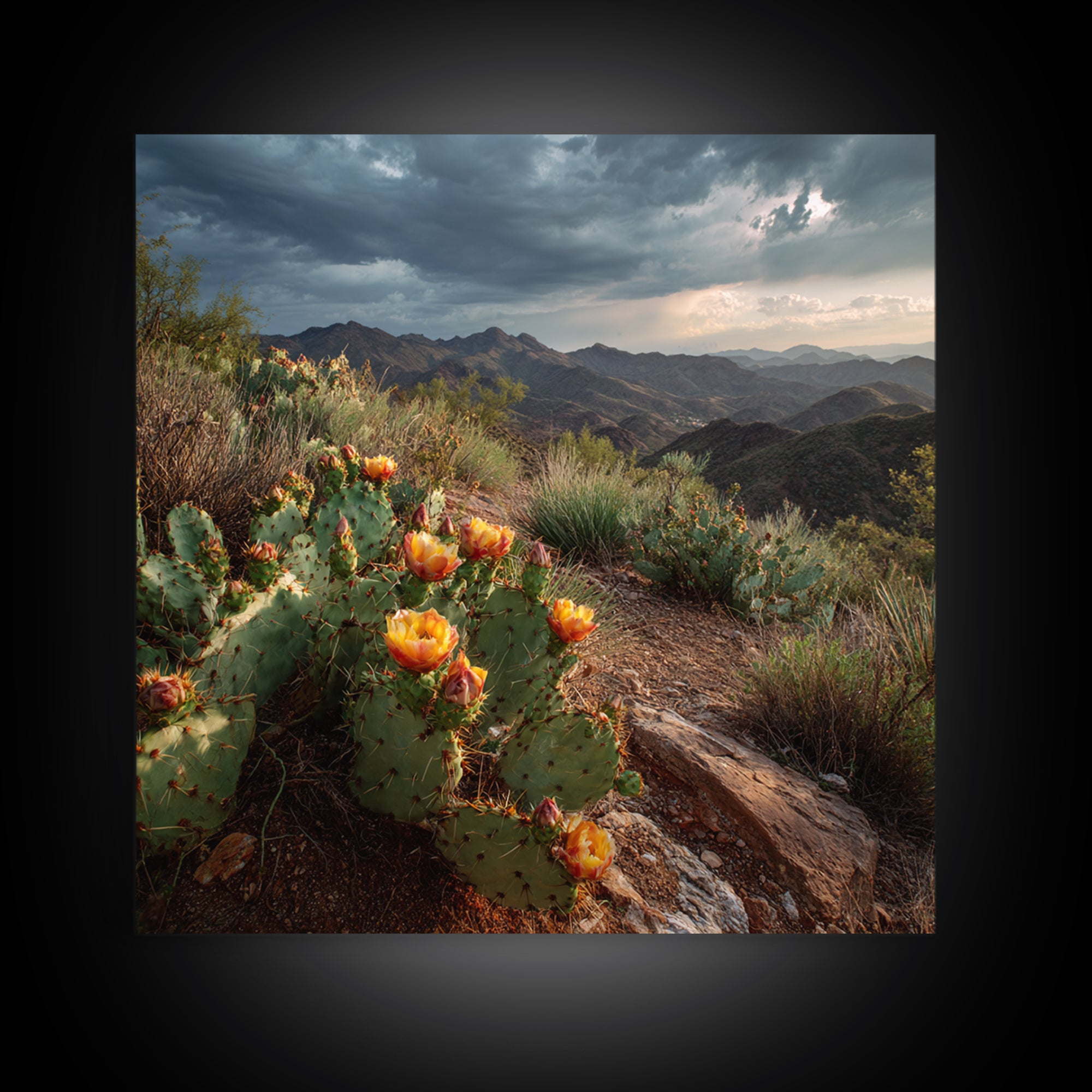 Desert Cactus Blooming After Rain Canvas Print, Nature Art, Nature Wall Art, Living Room Decor, Fine Art, Nature, NAT-1x1-92
