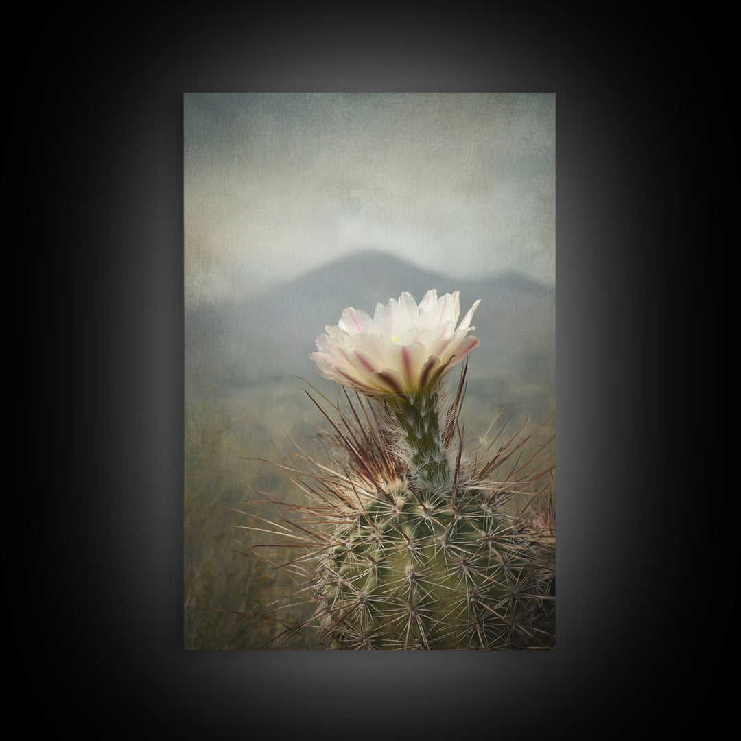 Desert Cactus Blooming After Rain Framed Canvas Print, Nature Art, Living Room Decor, Oil Painting, Nature, Ocean Art, NAT-2x3-28