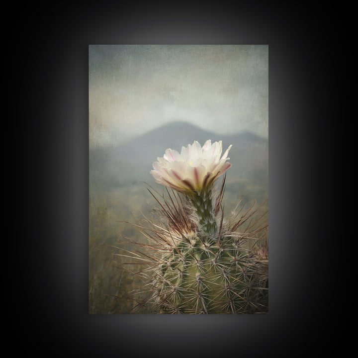 Desert Cactus Blooming After Rain Framed Canvas Print, Nature Art, Living Room Decor, Oil Painting, Nature, Ocean Art, NAT-2x3-28