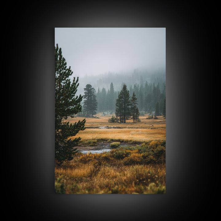 Moody Pine Forest Framed Canvas Print, Nature Art, Framed Art, Living Room Decor, Nature, Botanical Art, Digital Download Art, NAT-2x3-73
