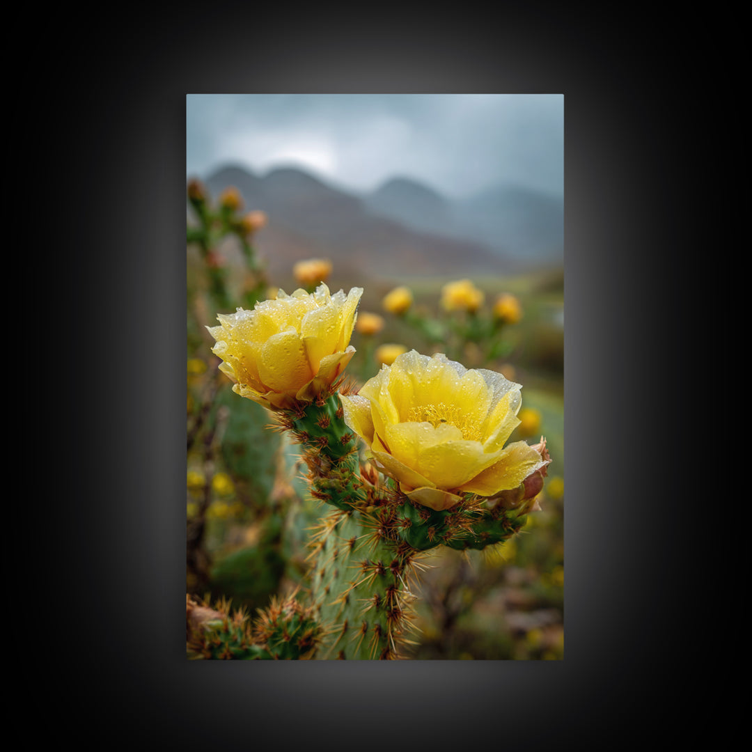 Desert Cactus Blooming After Rain Framed Canvas Print, Nature Art, 3d Wall Art, Living Room Decor, Watercolor Art, Nature, NAT-2x3-76