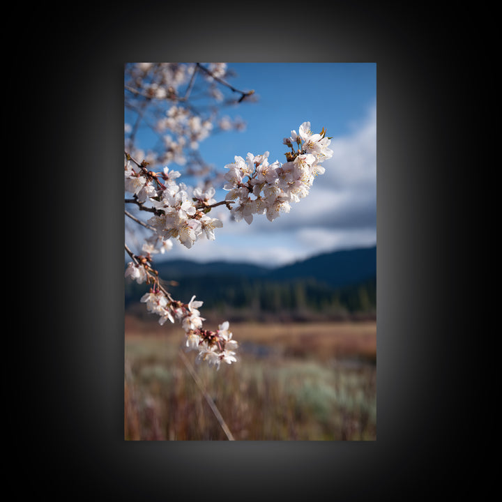Spring Cherry Blossoms Canvas Print, Nature Art, Original Painting, Living Room Decor, Fine Art, Nature, Mountain Wall Art, NAT-2x3-96