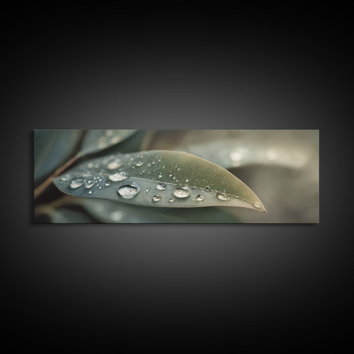 Rain Drops on a Large Green Leaf Canvas Print, Nature Art, Living Room Wall Art, Living Room Decor, Fine Art, Nature, NAT-3x1-25