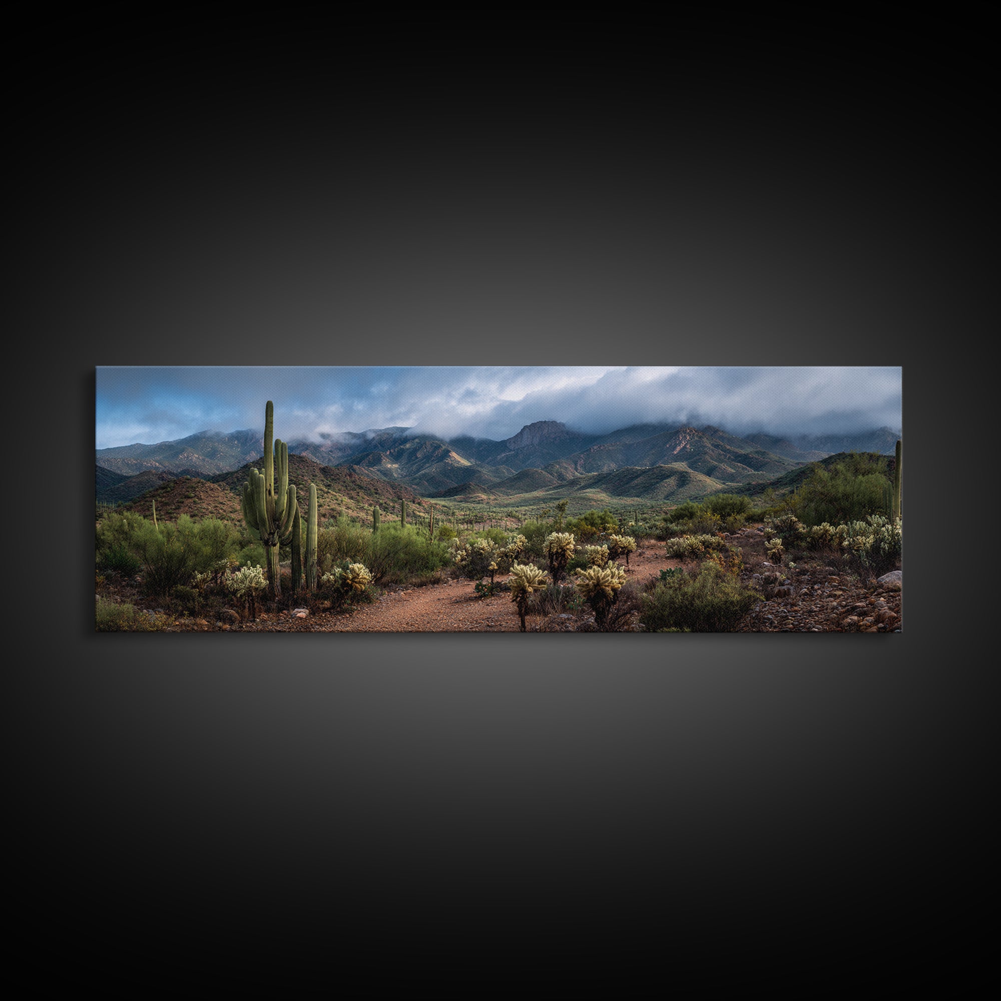 Desert Cactus Blooming After Rain Canvas Print, Nature Art, Mountain Art, Living Room Decor, Fine Art, Nature, Minimalist Decor, NAT-3x1-36