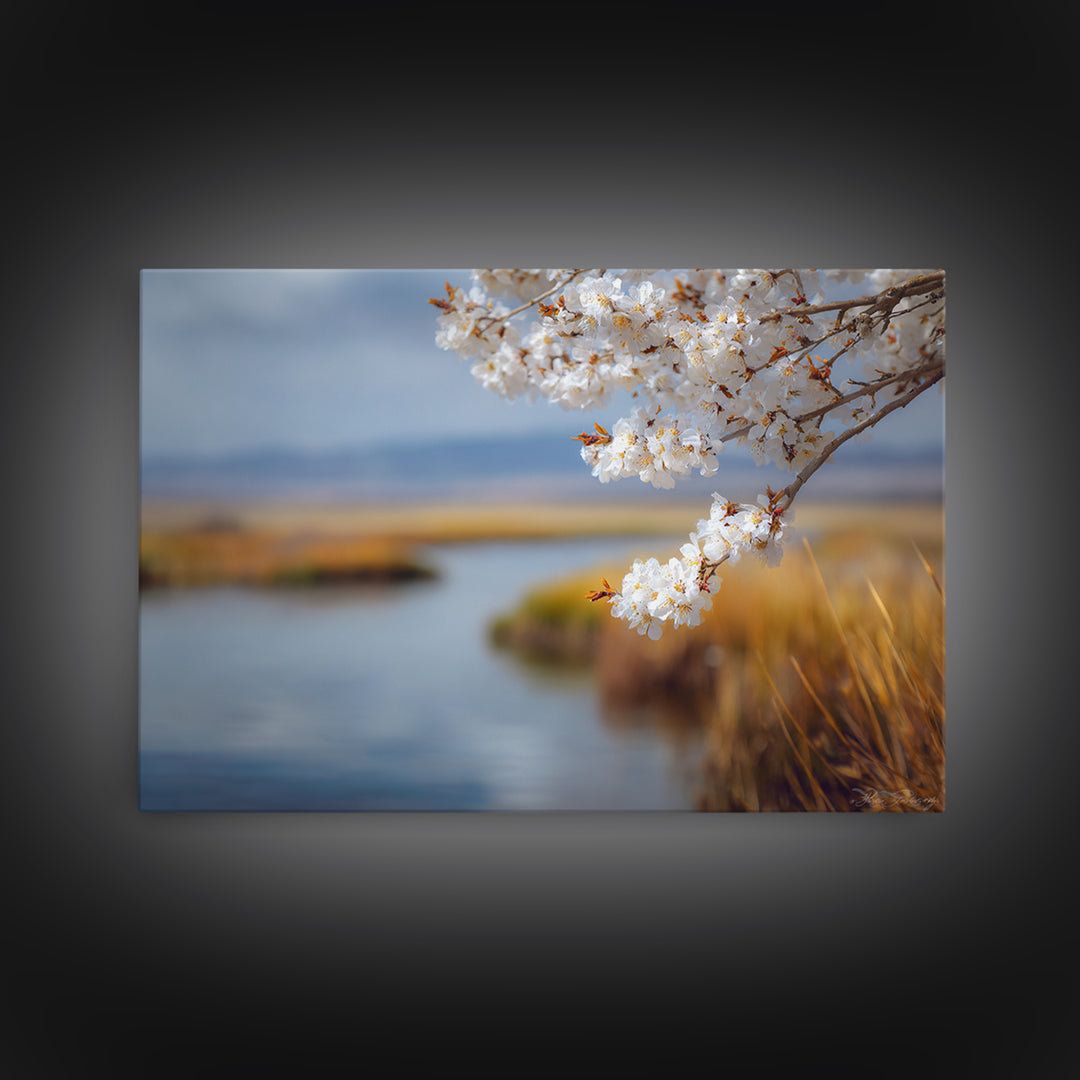 Spring Cherry Blossoms Framed Canvas Print, Nature Art, Abstract Wall Art, Living Room Decor, Fine Art, Nature, Bird Wall Art, NAT-3x2-20