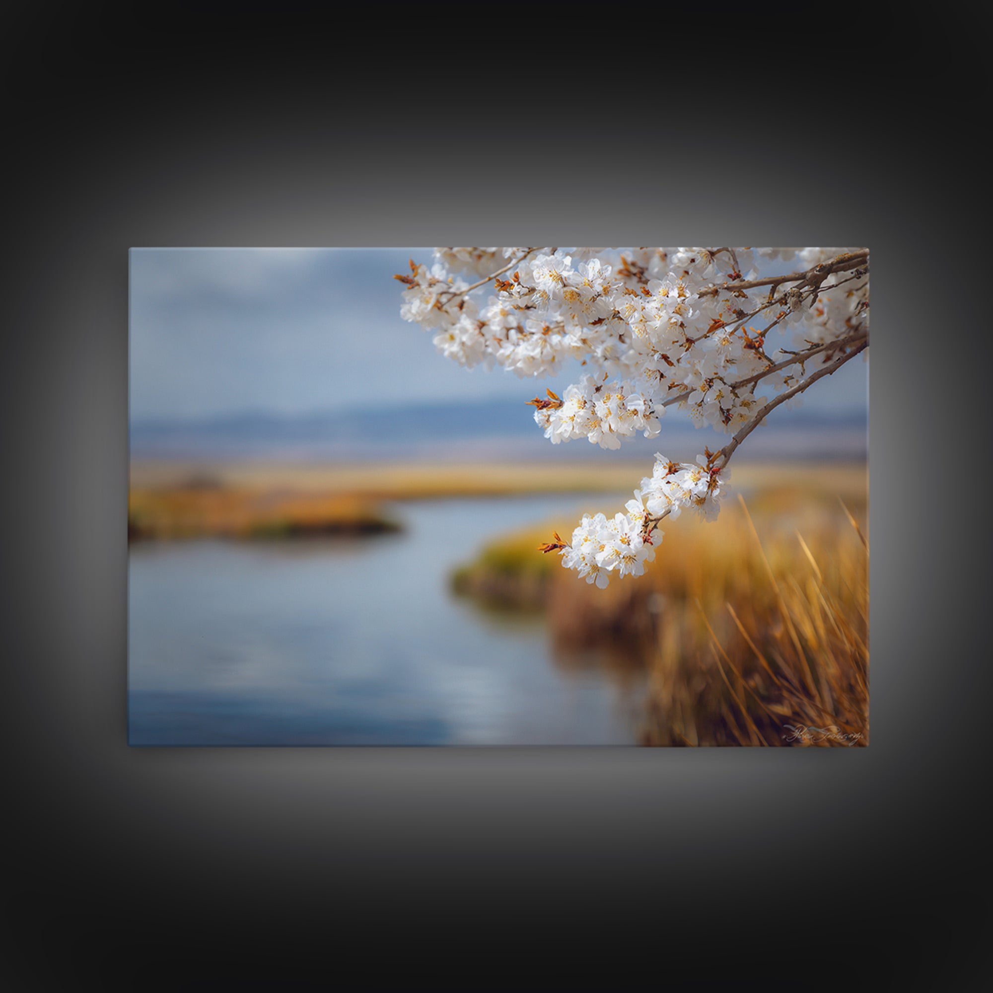 Spring Cherry Blossoms Framed Canvas Print, Nature Art, Abstract Wall Art, Living Room Decor, Fine Art, Nature, Bird Wall Art, NAT-3x2-20