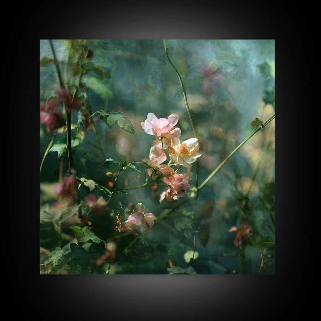 Sunset over Garden Flowers and Vines Framed Canvas Print, Patio Art, Fine Art Print, Patio Decor, Fine Art, Outdoor, Wall Decor, PAT-1x1-79