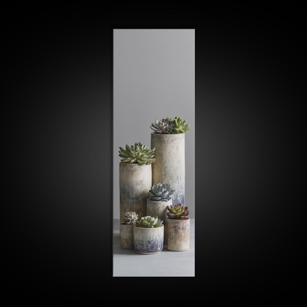 Succulent Collection in Ceramic Planters Canvas Print, Patio Art, Outdoor Wall Decor, Patio Decor, Fine Art, Outdoor, PAT-1x3-81