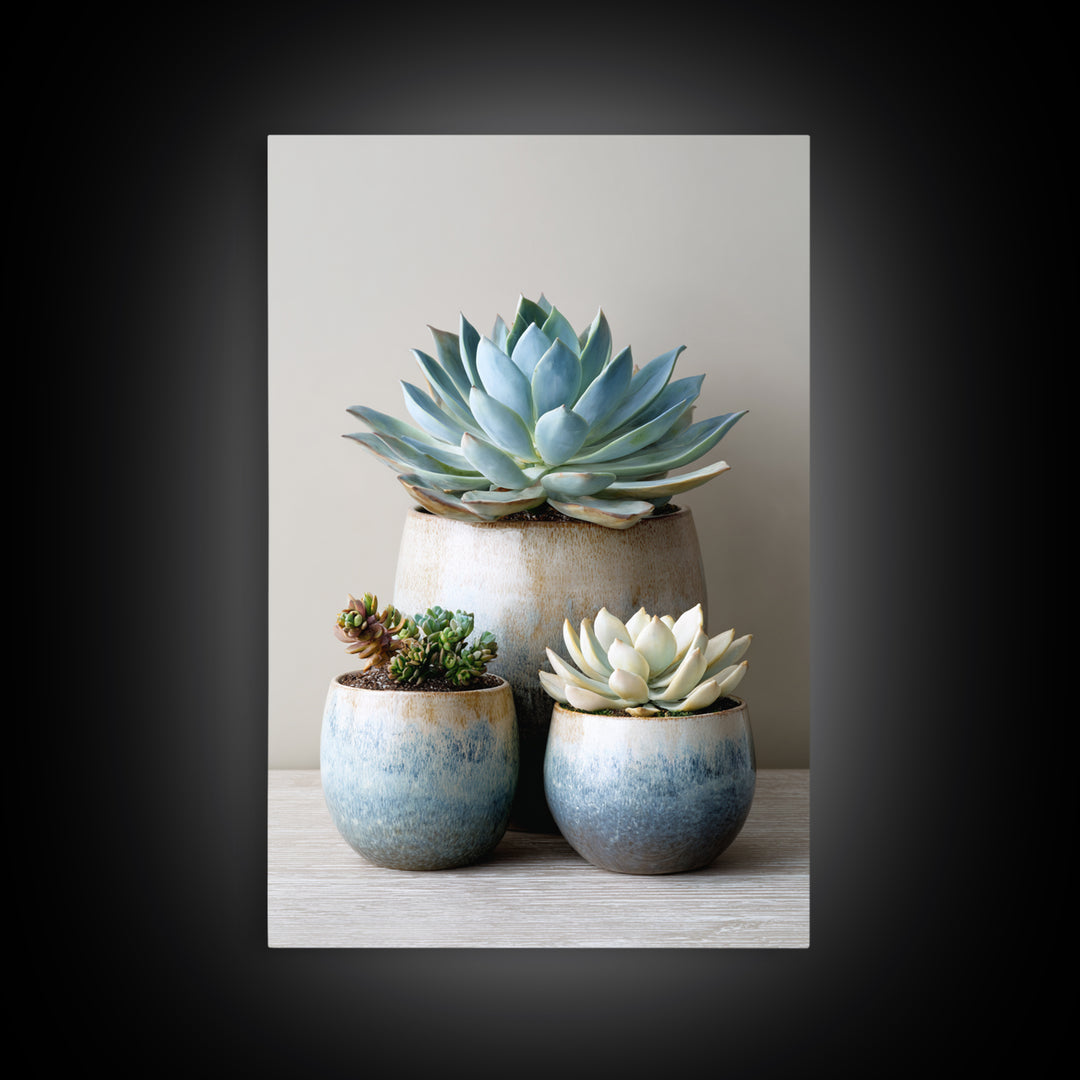 Succulent Collection in Ceramic Planters Canvas Print, Patio Art, Outdoor Wall Decor, Patio Decor, Fine Art, Outdoor, PAT-2x3-77