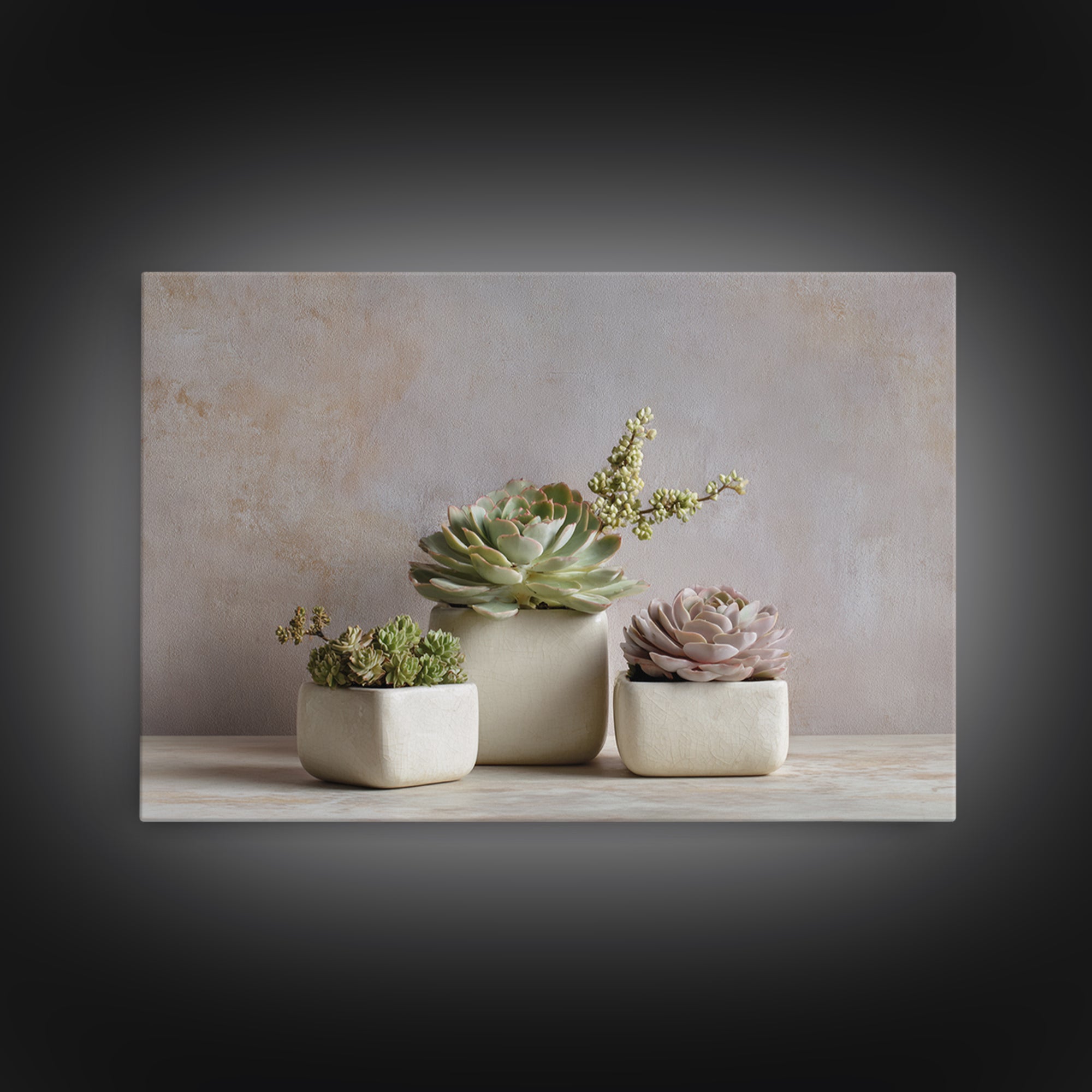 Succulent Collection in Ceramic Planters Framed Canvas Print, Patio Art, Patio Decor, Abstract Art, Outdoor, Gallery Decor, PAT-3x2-25
