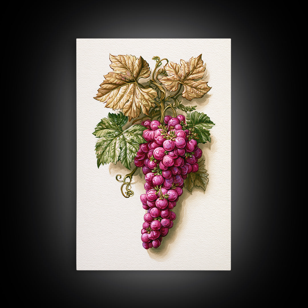 Wine Grapevine Botanical Study Canvas Print, Restaurant Art, Canvas, Restaurant Decor, Fine Art, Bistro, Living Room Decor, RES-2x3-23