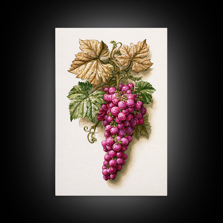 Wine Grapevine Botanical Study Canvas Print, Restaurant Art, Canvas, Restaurant Decor, Fine Art, Bistro, Living Room Decor, RES-2x3-23