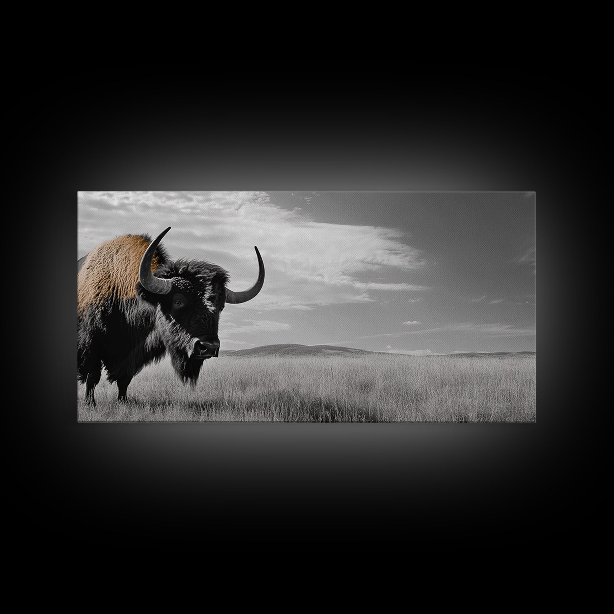 Buffalo Wall Art Canvas Print | Rustic Farmhouse Decor | Western Landscape Art | Moody Wall Art | Extra Wide Art | Nature Lover Gift