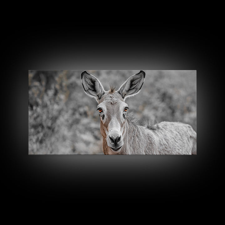 Donkey Close-Up Framed Canvas Print | Rustic Farmhouse Art | Moody Animal Portrait | Southwest Wall Art | Extra Wide Art | Above Couch Decor