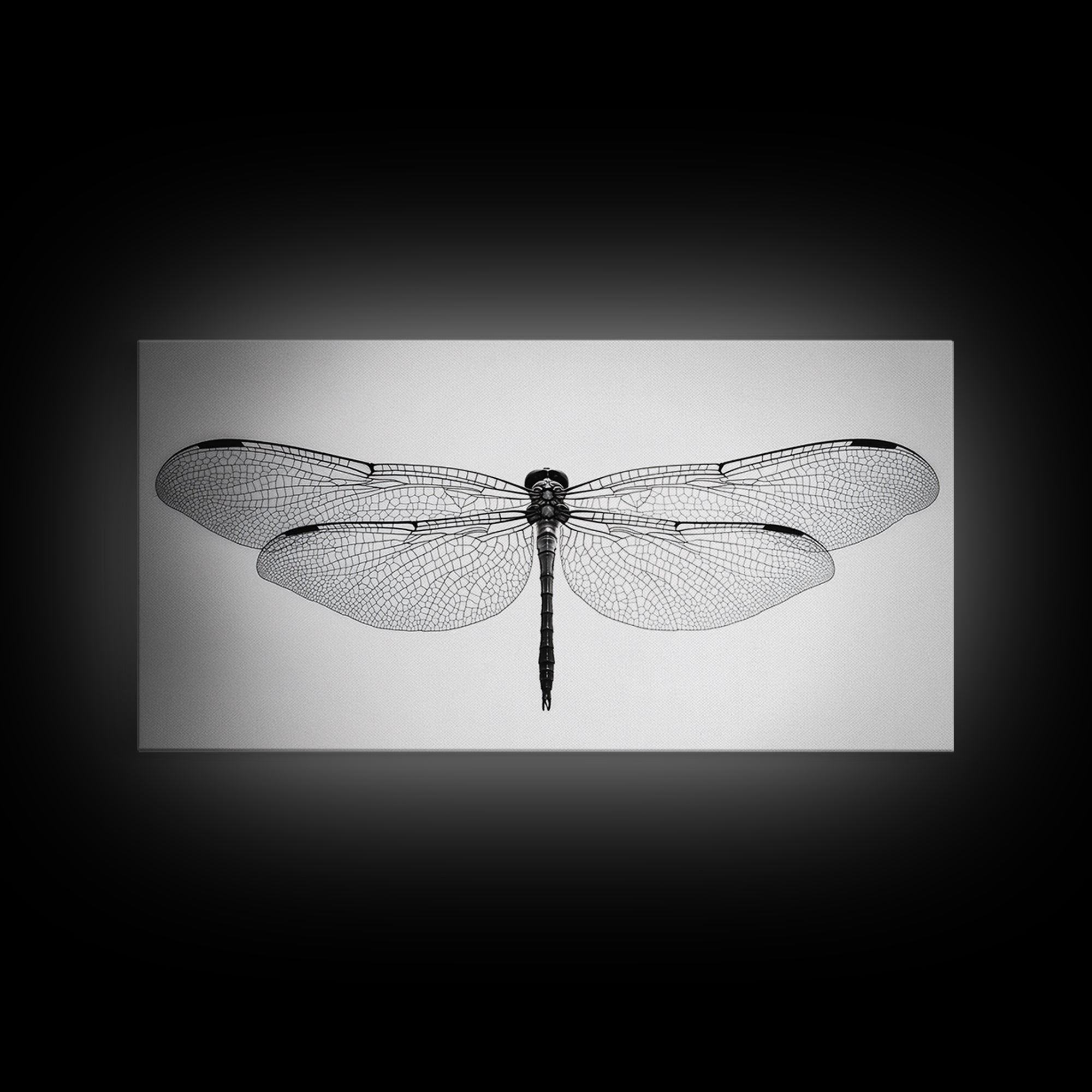 Dragonfly, line art, minimalist art, black and white art, nature painting, botanical prints, extra wide art, framed canvas print