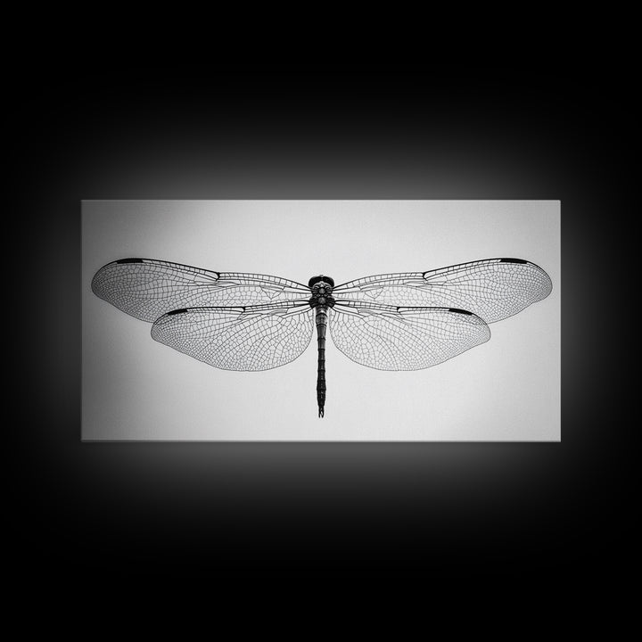 Dragonfly, line art, minimalist art, black and white art, nature painting, botanical prints, extra wide art, framed canvas print