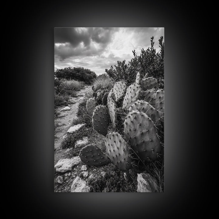 Cactus Trail, southwest wall art, rustic decor, desert painting, wabi sabi art, nature landscape art, framed canvas print, farmhouse decor