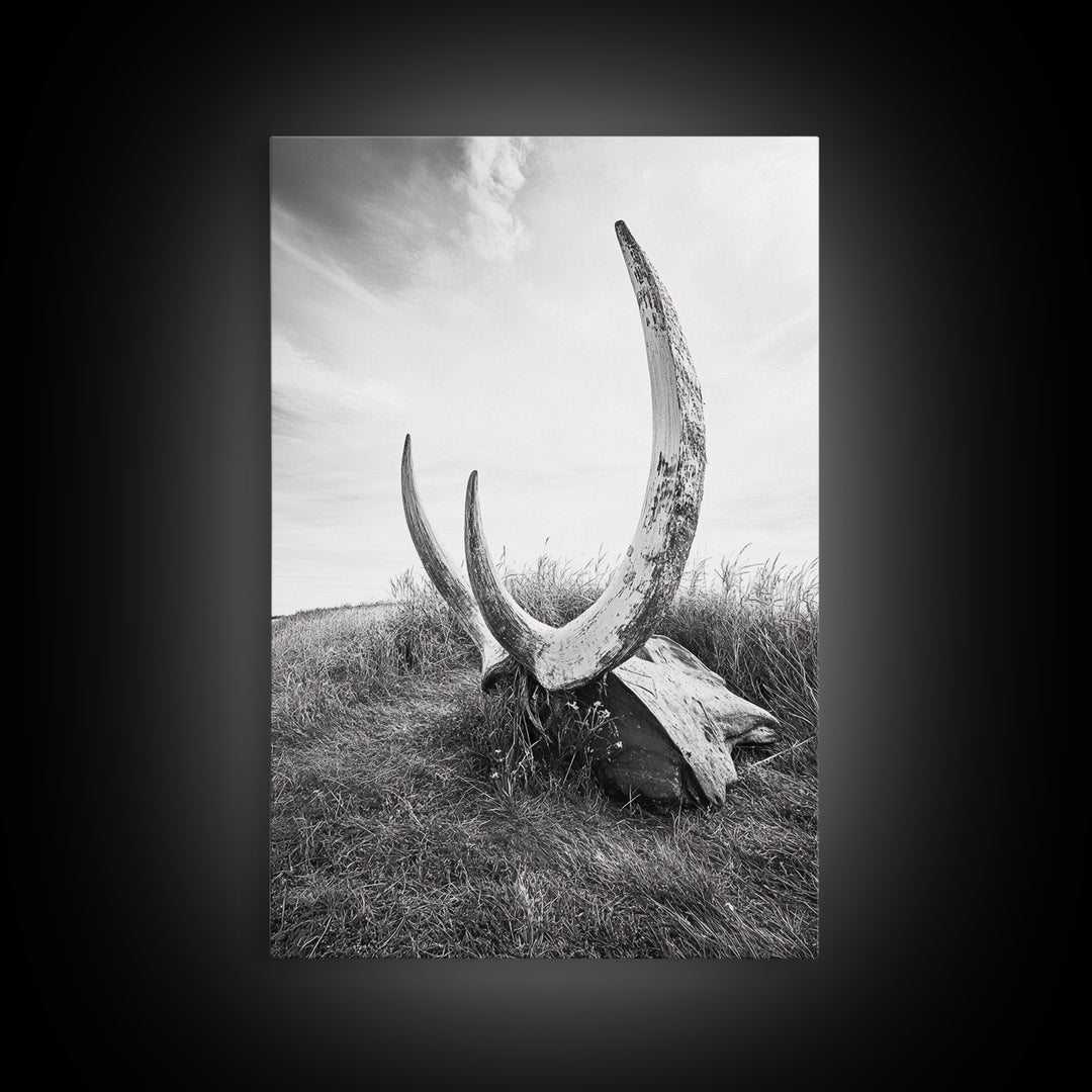 Large horns, rustic skull, bull and bear art, moody wall art, desert decor, cowboy aesthetic, framed canvas print, minimalist art