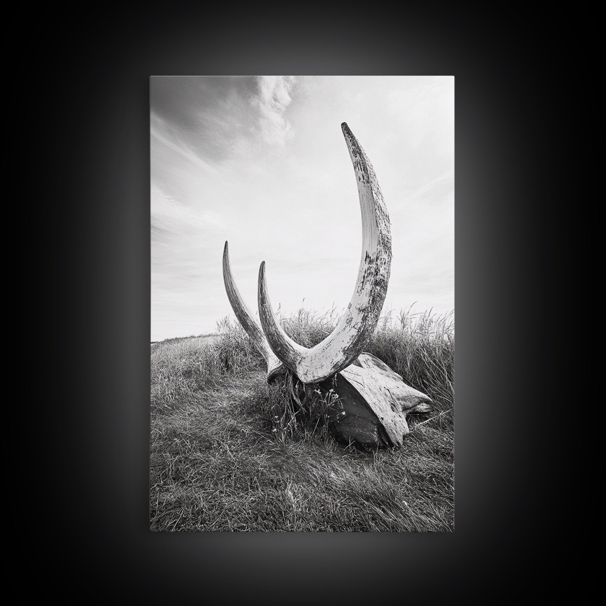 Large horns, rustic skull, bull and bear art, moody wall art, desert decor, cowboy aesthetic, framed canvas print, minimalist art