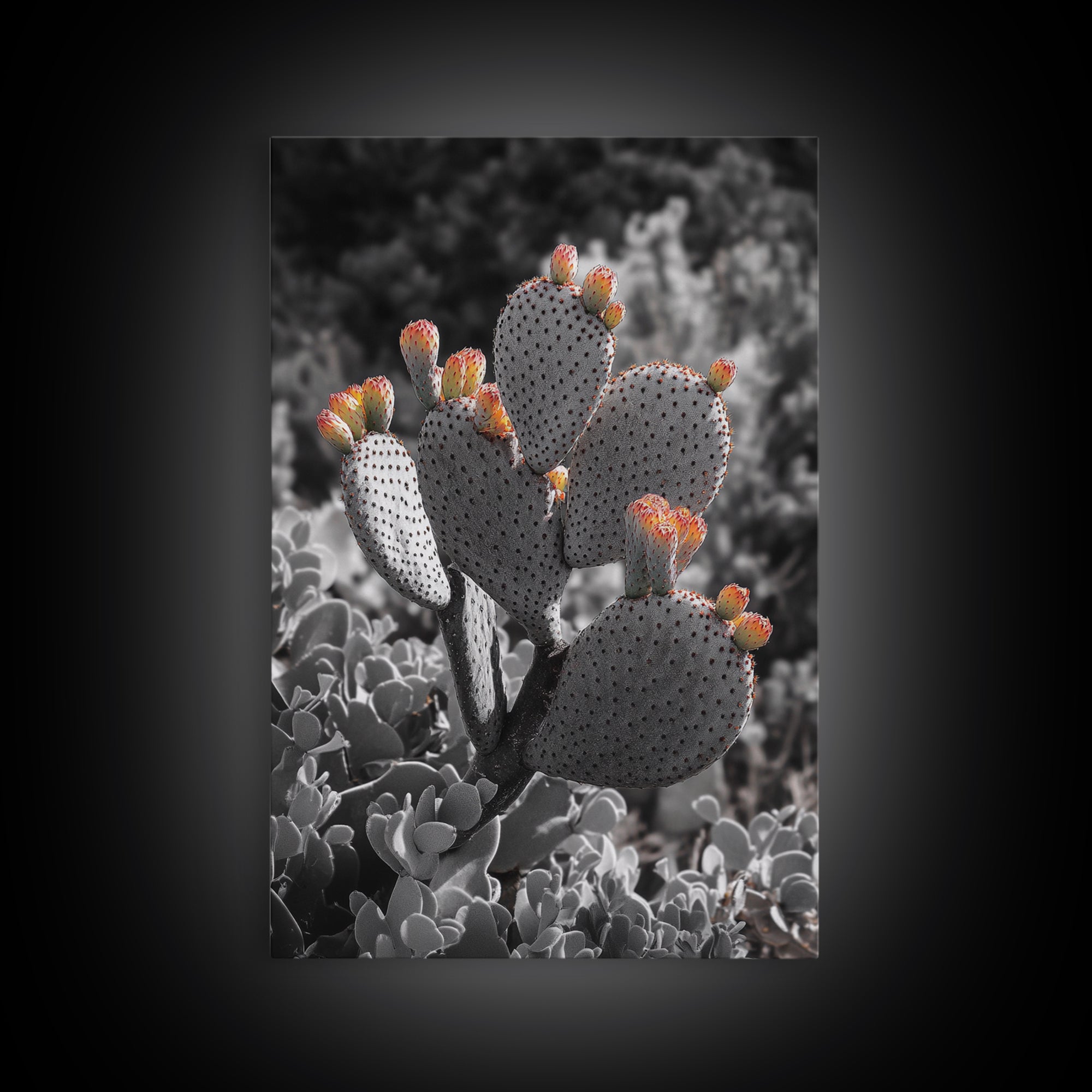 Desert cactus, southwest wall art, Joshua tree art, framed canvas print, botanical prints, rustic boho decor, floral desert painting