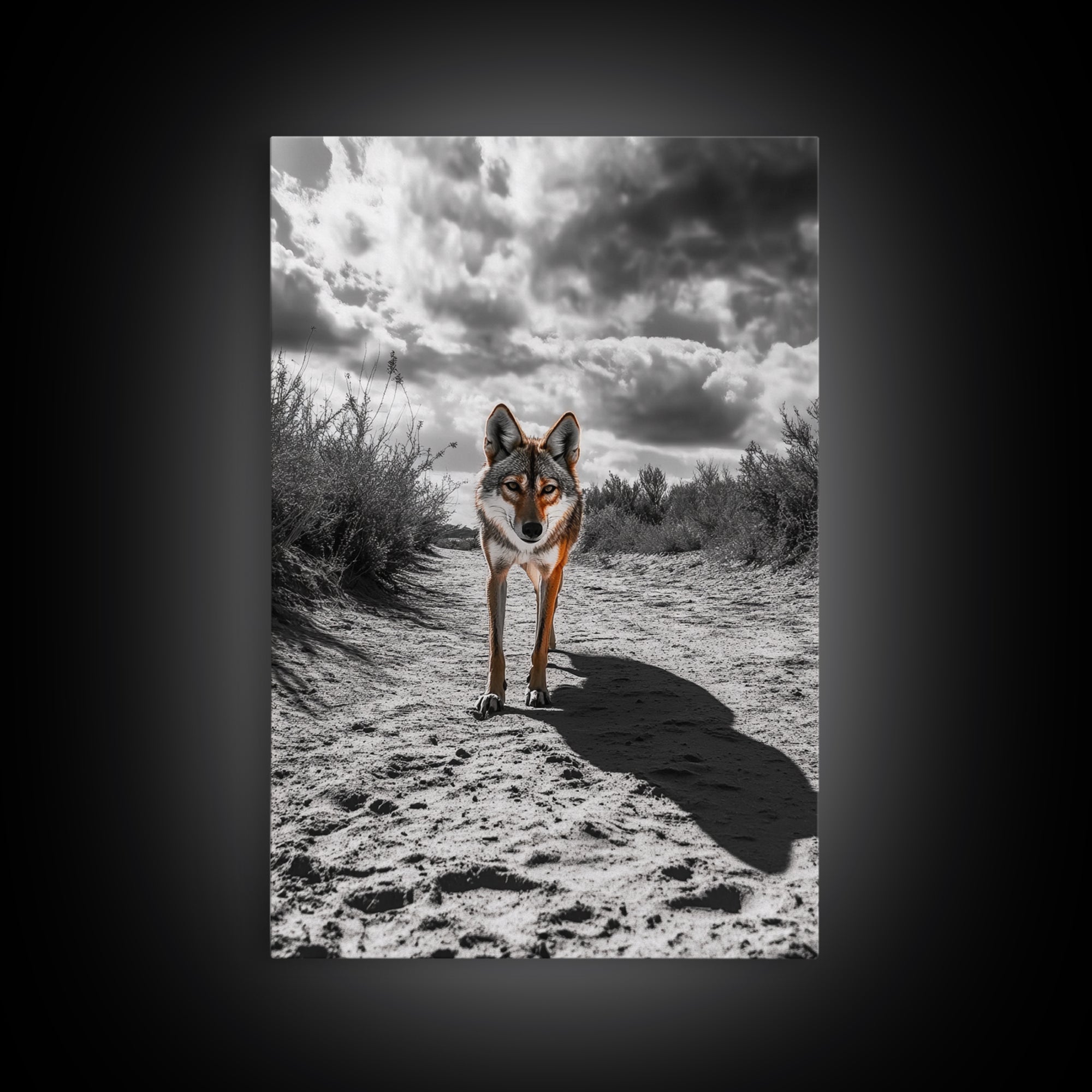 Desert Wolf, Wildlife Painting, Moody Art, Southwest Wall Art, Rustic Decor, Nature Scene, Canvas Print, Farmhouse Art
