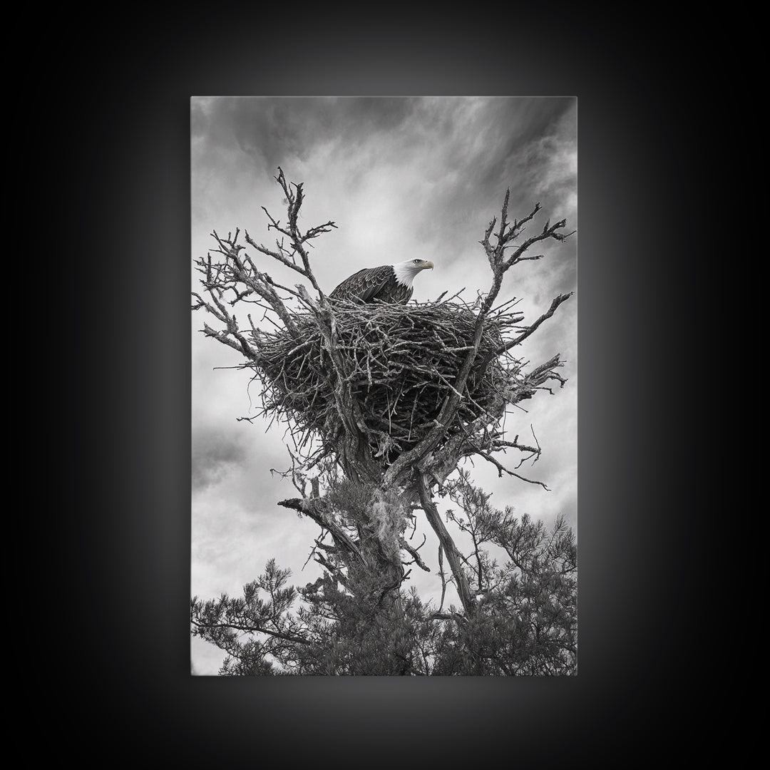 Bald Eagle, bird art, nature photography, moody art, rustic decor, patriotic wall art, black and white, framed canvas print, wildlife art
