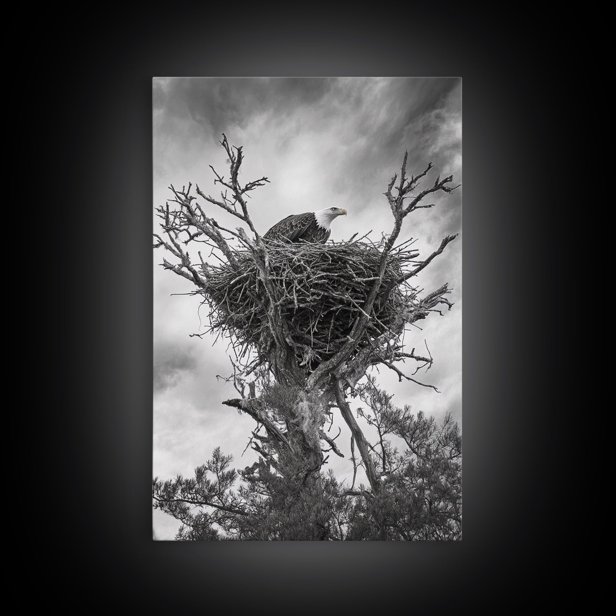 Bald Eagle, bird art, nature photography, moody art, rustic decor, patriotic wall art, black and white, framed canvas print, wildlife art