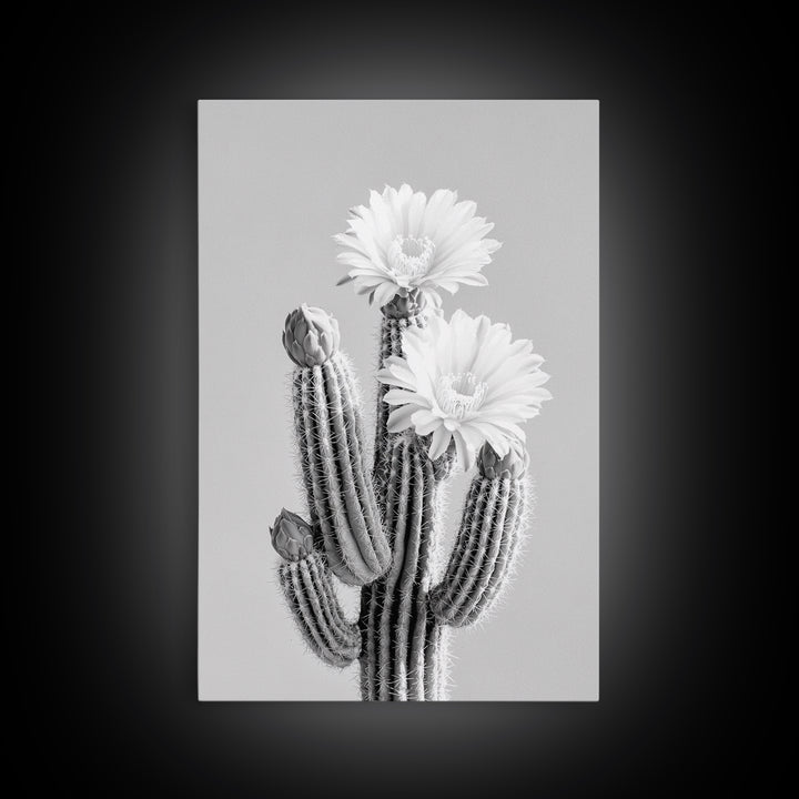 Cactus Bloom, desert botanical, minimalist art, black and white, southwest wall art, framed canvas print, vertical wall art, moody art