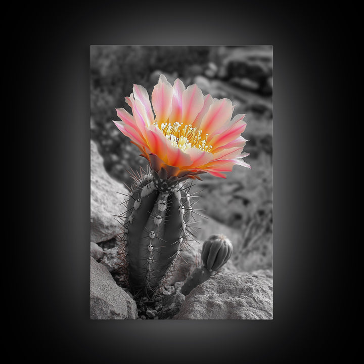 Blooming cactus, botanical print, desert flora, framed canvas print, nature decor, succulent wall art, pink flowers, southwest painting