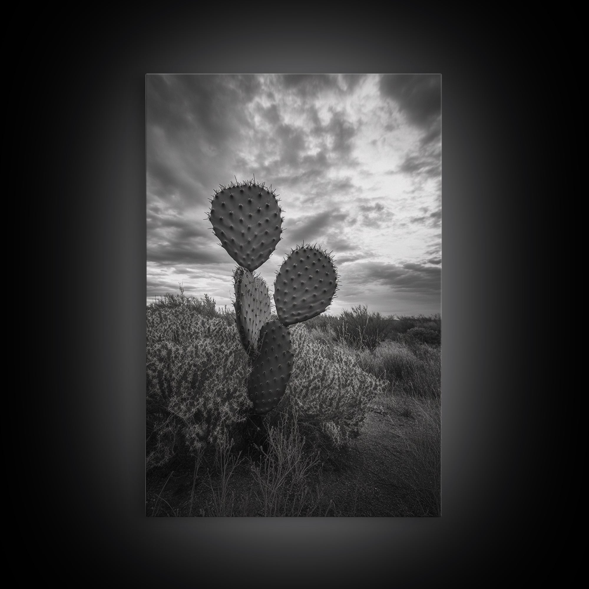 Prickly Pear, cactus art, Joshua tree art, wabi sabi art, moody art, black and white, framed canvas print, minimalist decor, rustic wall art