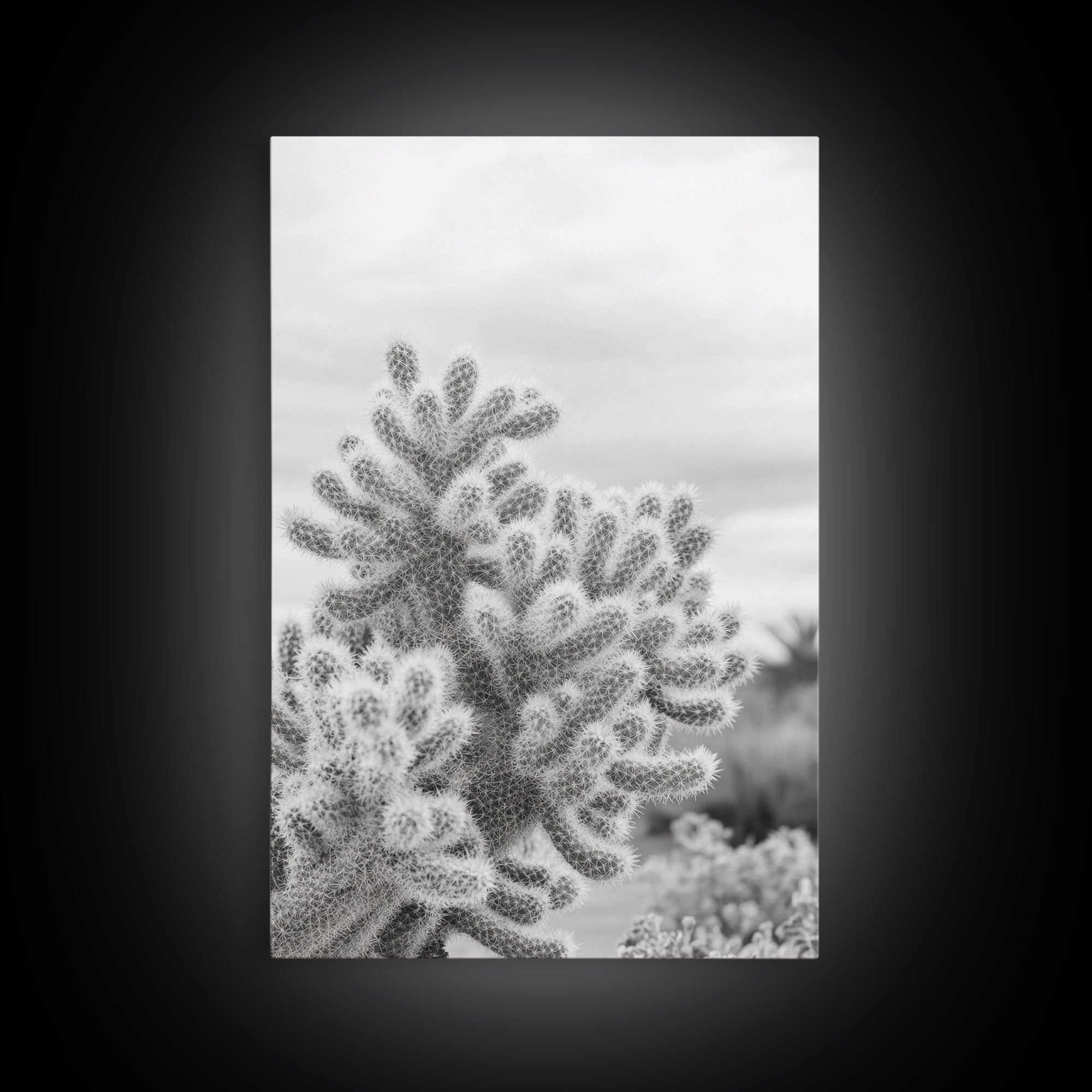 Cactus photography, desert wall art, framed canvas print, Joshua tree art, rustic decor, botanical prints, boho wall art, minimalist art