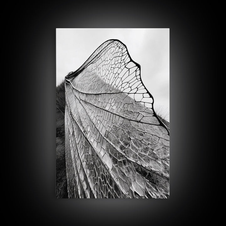 Dragonfly Wing, nature photography, moody art, wabi sabi art, minimalist art, botanical prints, framed canvas print, rustic wall art